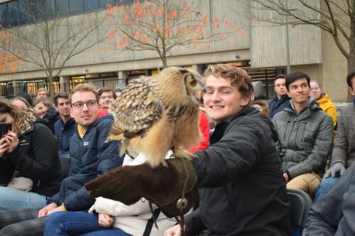 Lustrum week 1: Owl show