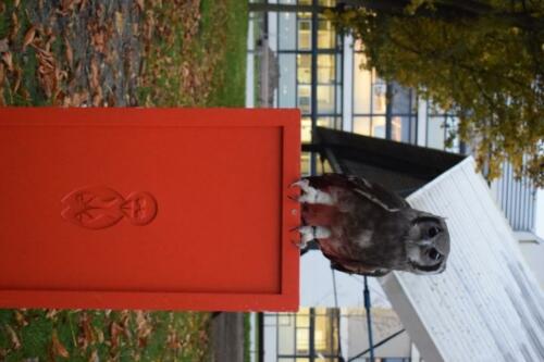 DSC 0334-einde-uilenshow