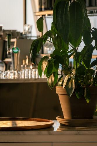 Euromast Zaalfotos51