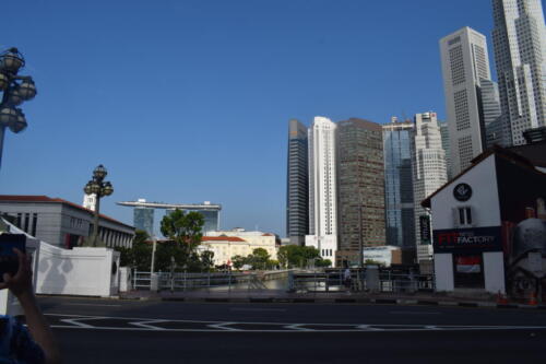DSC 0842